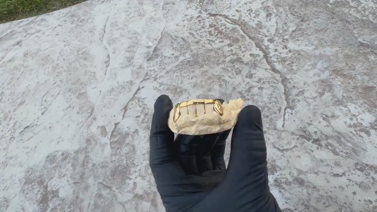 Custom Fit 6pcs Front Bar with Open Hearts Grillz (925 Sterling Silver/Free Mold Kit)